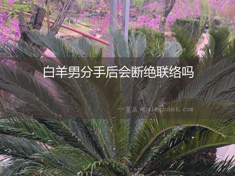 白羊男分手后會斷絕聯絡嗎