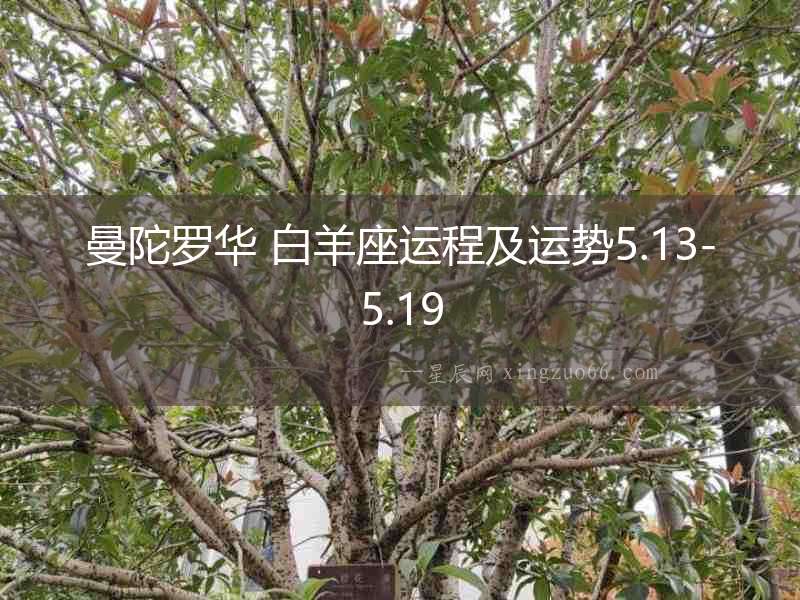 曼陀羅華 白羊座運(yùn)程及運(yùn)勢(shì)5.13-5.19