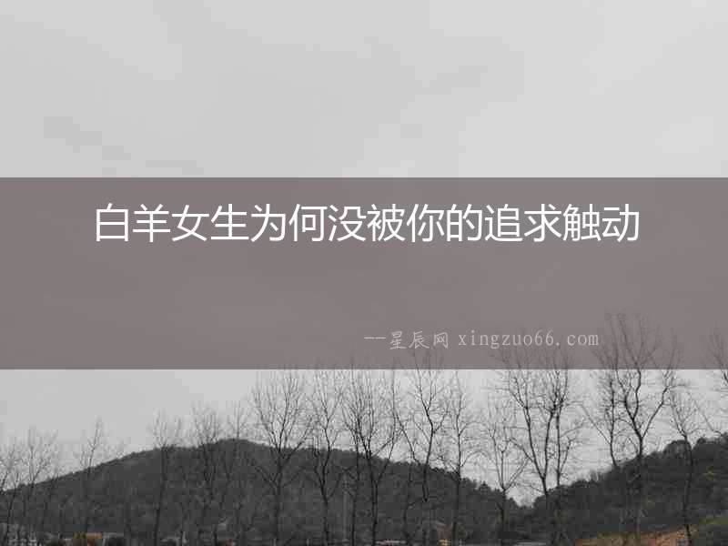 白羊女生為何沒被你的追求觸動
