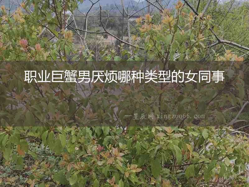職業巨蟹男厭煩哪種類型的女同事