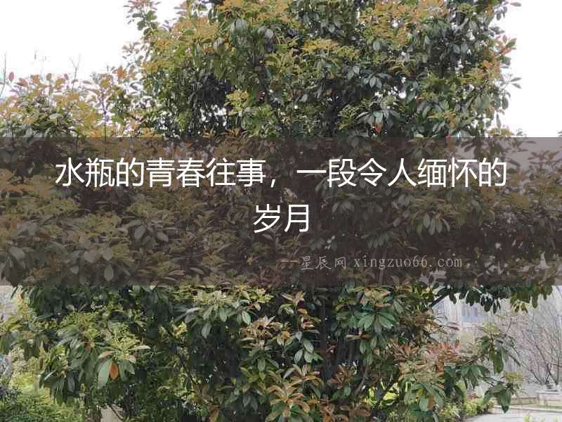 水瓶的青春往事，一段令人緬懷的歲月