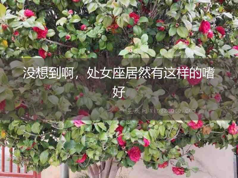 沒(méi)想到啊，處女座居然有這樣的嗜好