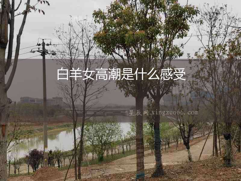 白羊女高潮是什么感受