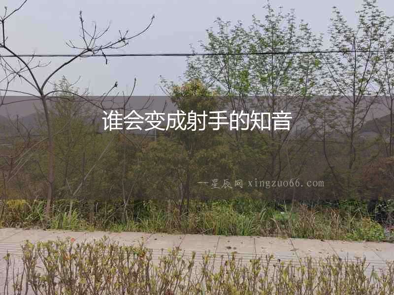 誰(shuí)會(huì)變成射手的知音