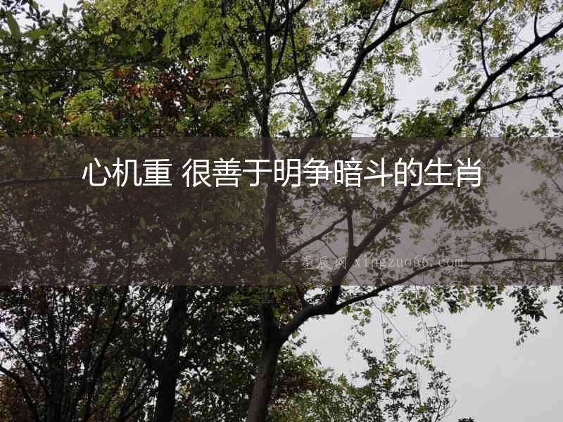 心機重 很善于明爭暗斗的生肖