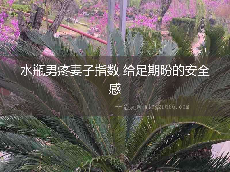 水瓶男疼妻子指數 給足期盼的安全感