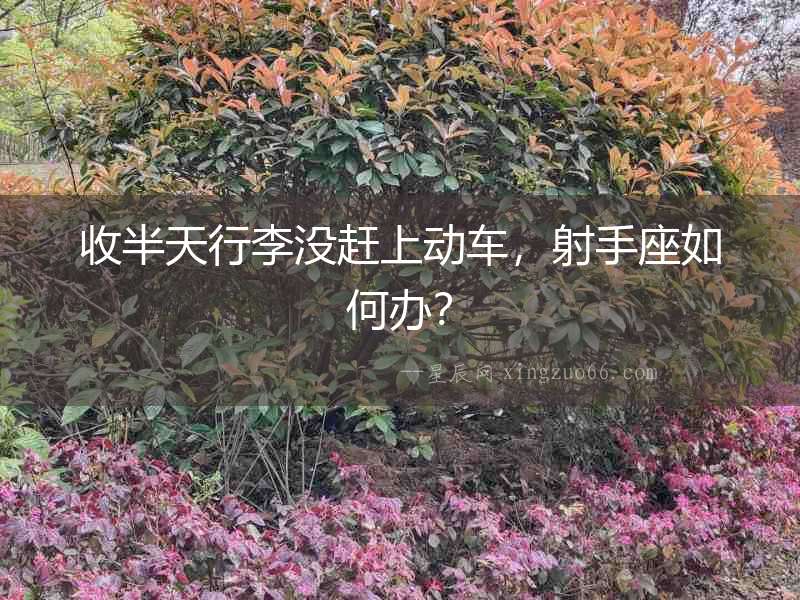 收半天行李沒趕上動車，射手座如何辦？