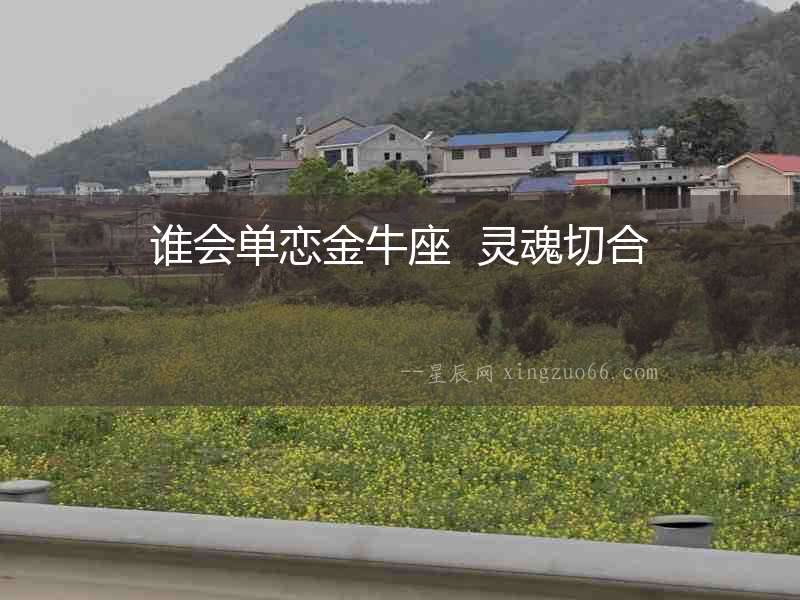 誰會(huì)單戀金牛座  靈魂切合