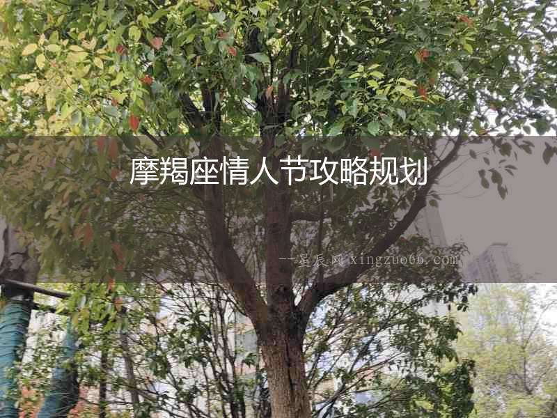 摩羯座情人節(jié)攻略規(guī)劃
