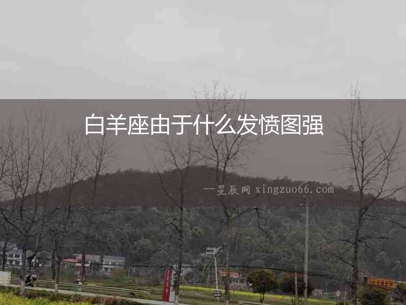 白羊座由于什么發憤圖強