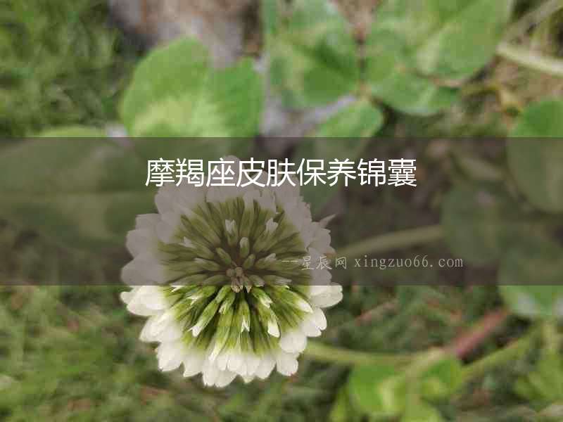 摩羯座皮膚保養錦囊