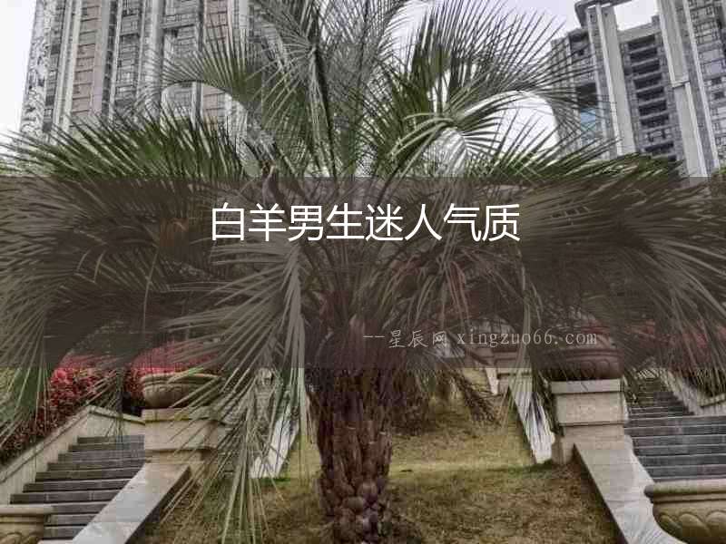 白羊男生迷人氣質