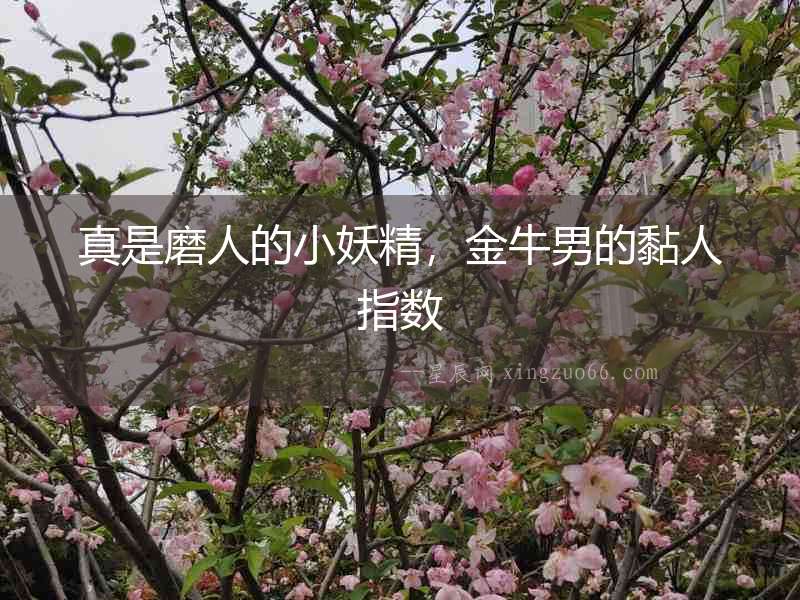 真是磨人的小妖精，金牛男的黏人指數