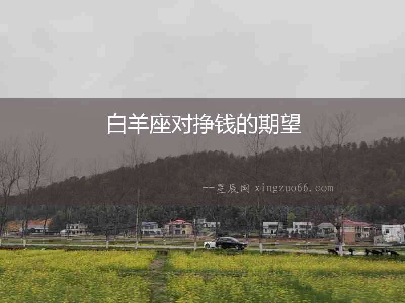 白羊座對掙錢的期望