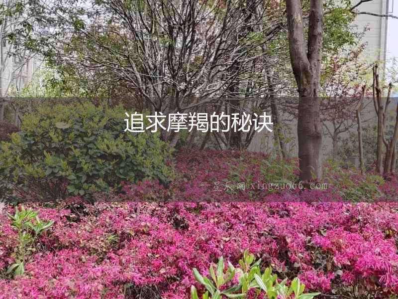 追求摩羯的秘訣