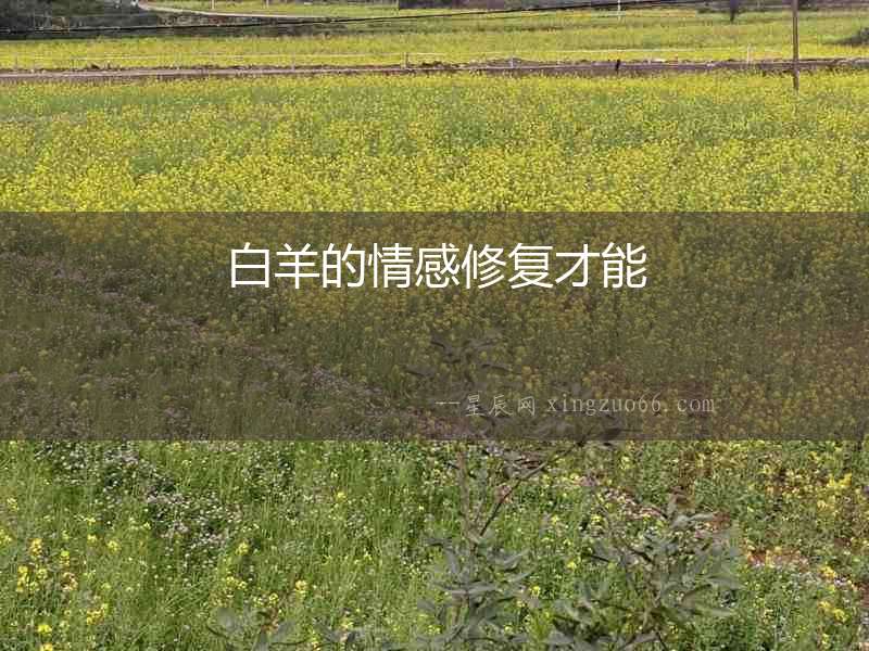 白羊的情感修復(fù)才能