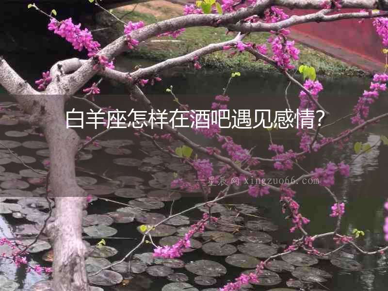 白羊座怎樣在酒吧遇見感情？