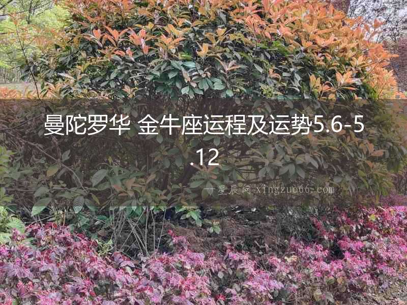 曼陀羅華 金牛座運程及運勢5.6-5.12