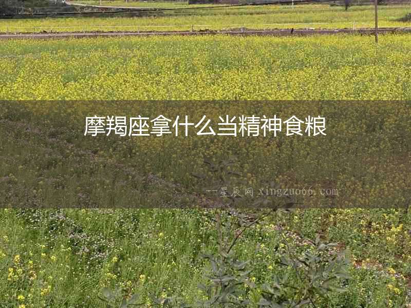 摩羯座拿什么當精神食糧