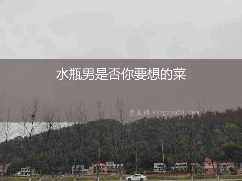 水瓶男是否你要想的菜