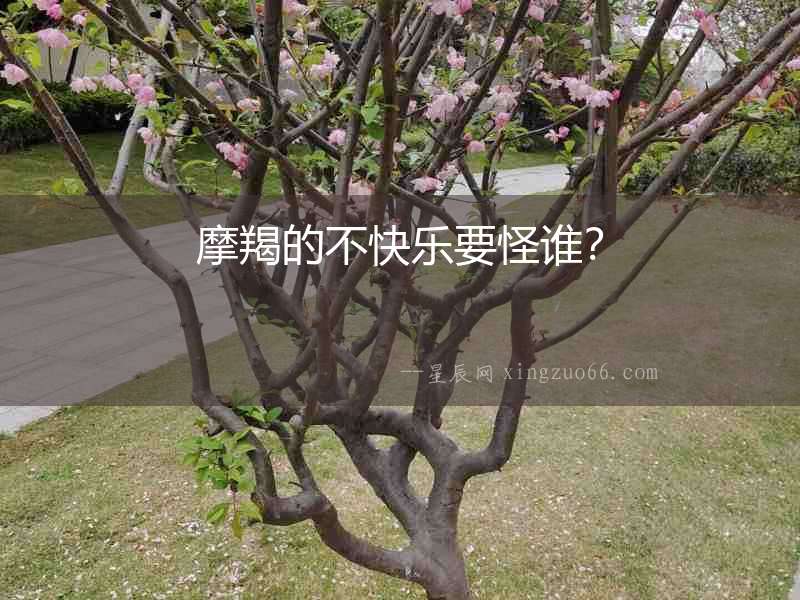 摩羯的不快樂要怪誰？