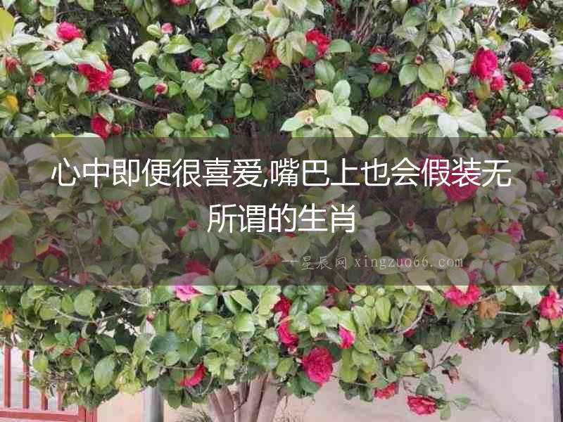 心中即便很喜愛,嘴巴上也會(huì)假裝無所謂的生肖