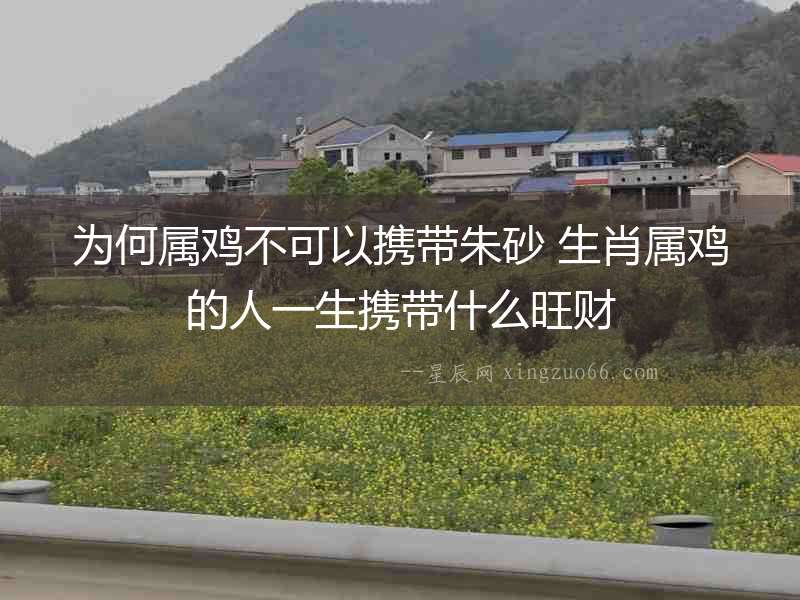 為何屬雞不可以攜帶朱砂 生肖屬雞的人一生攜帶什么旺財