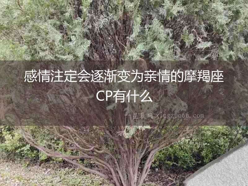 感情注定會逐漸變為親情的摩羯座CP有什么