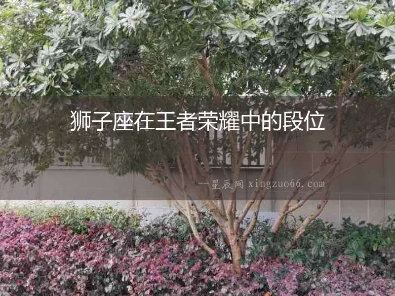 獅子座在王者榮耀中的段位