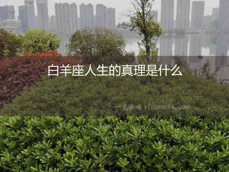 白羊座人生的真理是什么