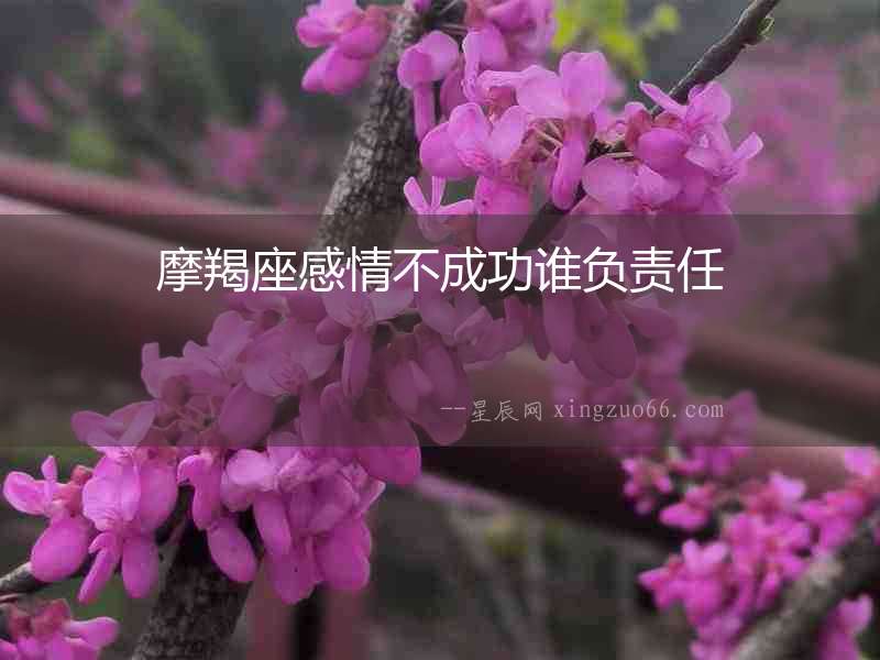 摩羯座感情不成功誰負責任
