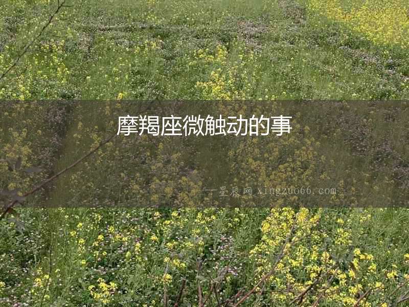 摩羯座微觸動的事