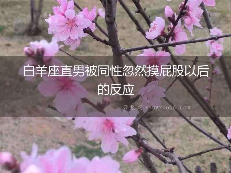 白羊座直男被同性忽然摸屁股以后的反應
