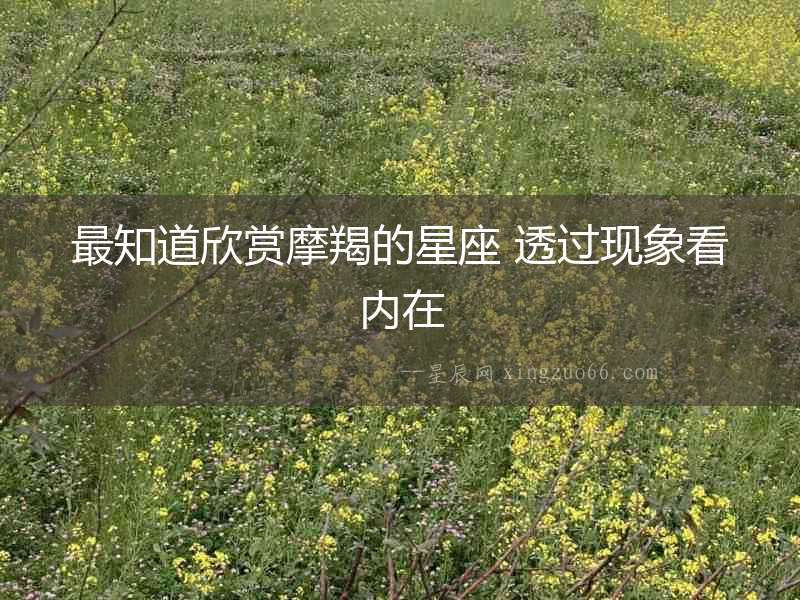 最知道欣賞摩羯的星座 透過現象看內在