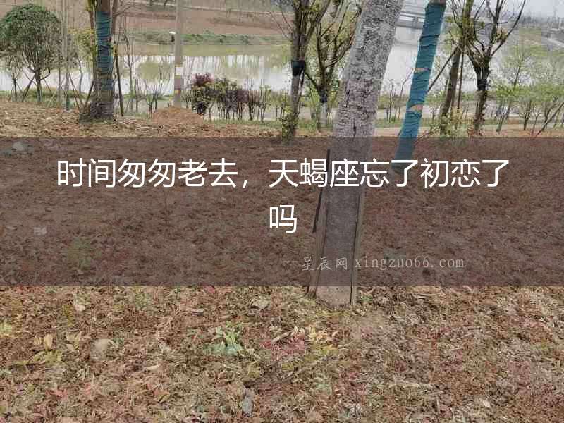 時間匆匆老去，天蝎座忘了初戀了嗎