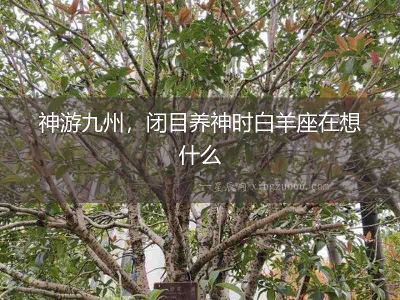 神游九州，閉目養神時白羊座在想什么