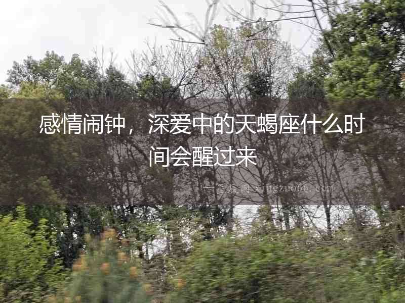 感情鬧鐘，深愛中的天蝎座什么時間會醒過來