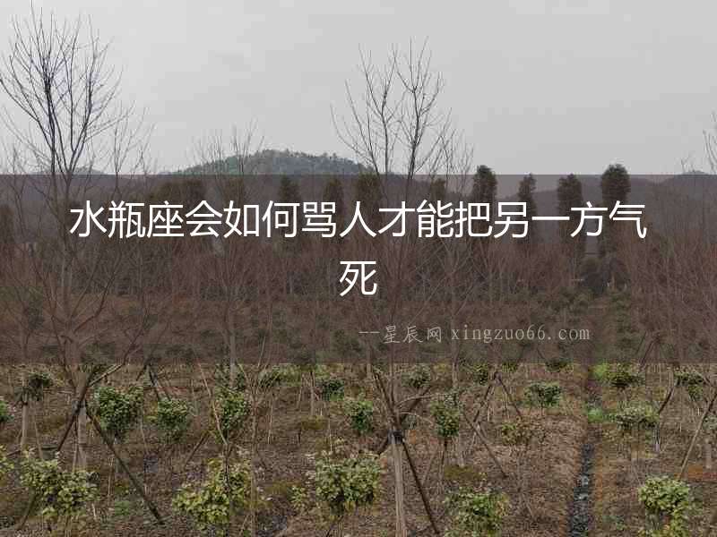 水瓶座會如何罵人才能把另一方氣死