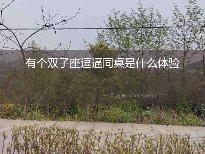 有個雙子座逗逼同桌是什么體驗