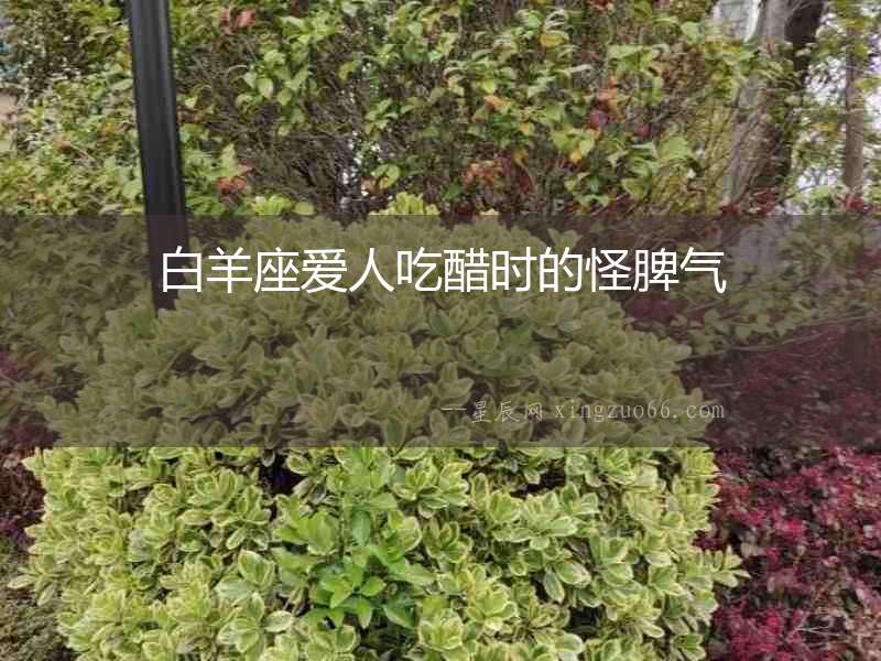 白羊座愛(ài)人吃醋時(shí)的怪脾氣