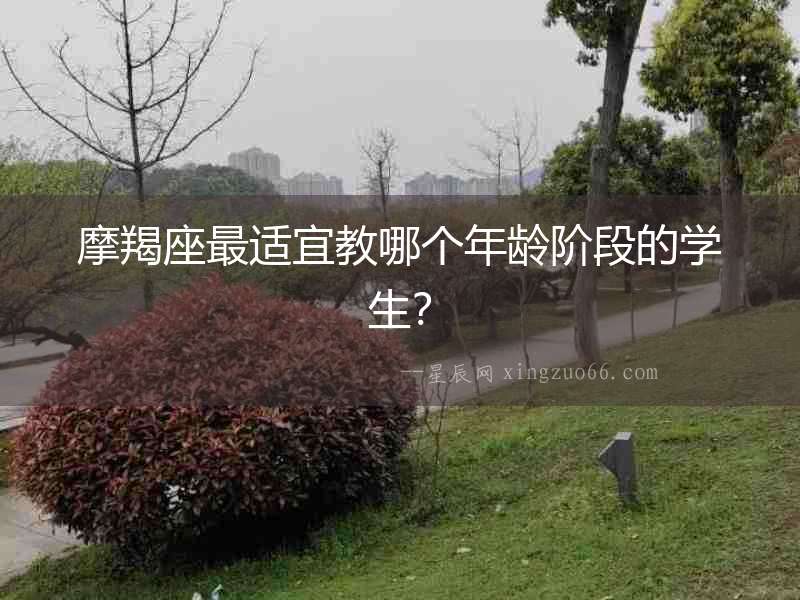 摩羯座最適宜教哪個(gè)年齡階段的學(xué)生？