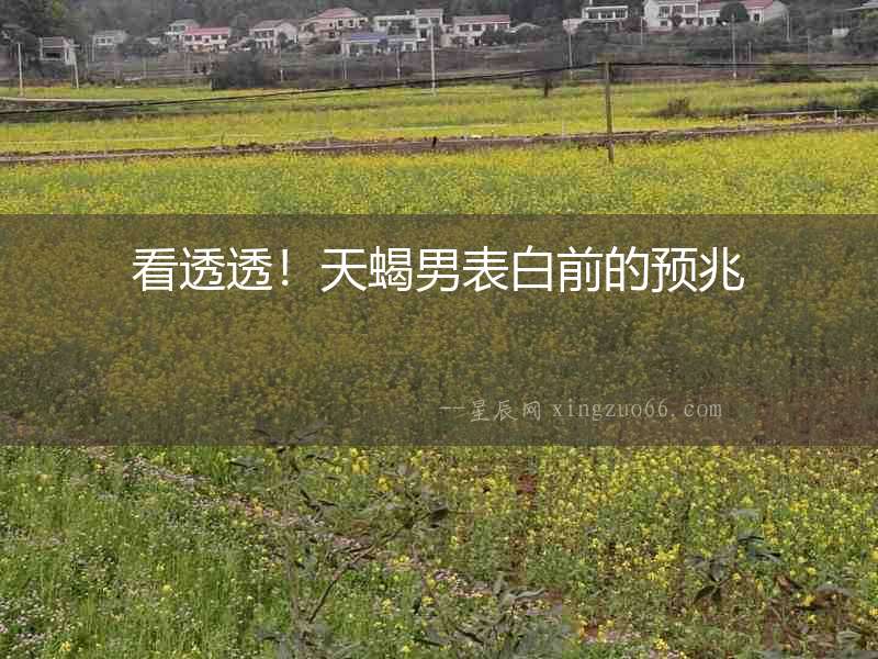 看透透！天蝎男表白前的預兆