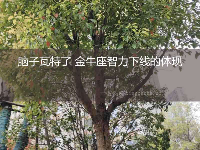 腦子瓦特了 金牛座智力下線的體現(xiàn)