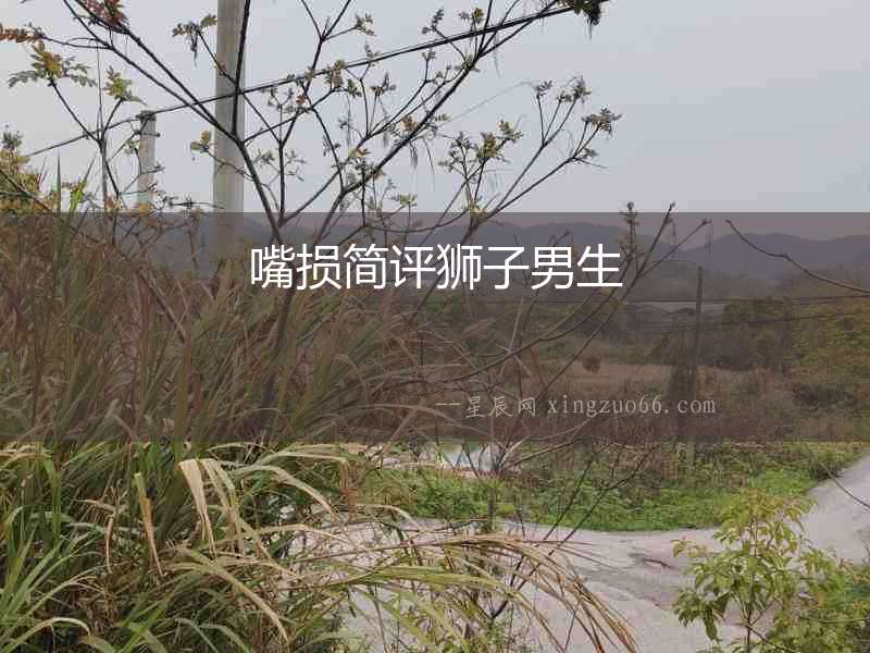 嘴損簡評獅子男生