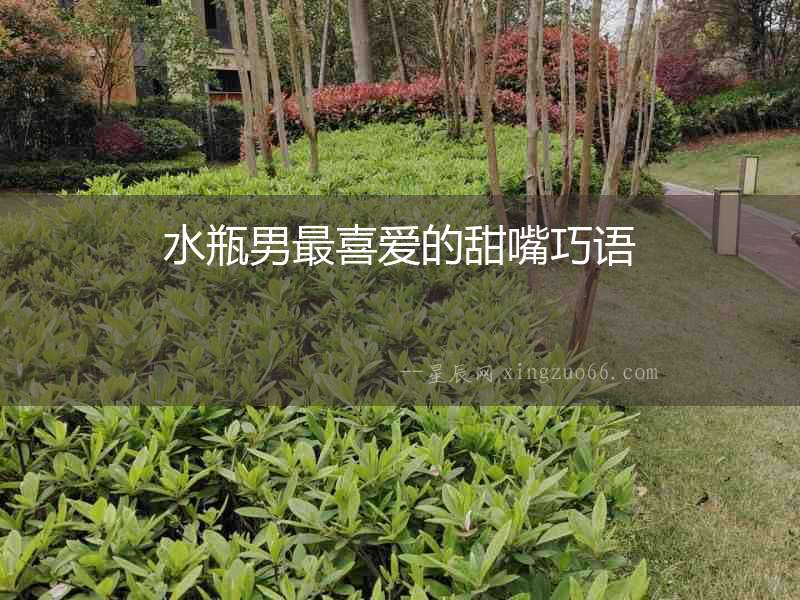 水瓶男最喜愛(ài)的甜嘴巧語(yǔ)