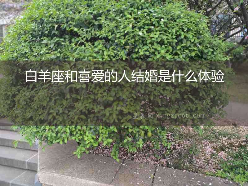 白羊座和喜愛的人結婚是什么體驗
