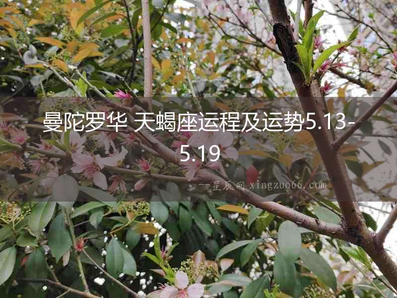 曼陀羅華 天蝎座運程及運勢5.13-5.19