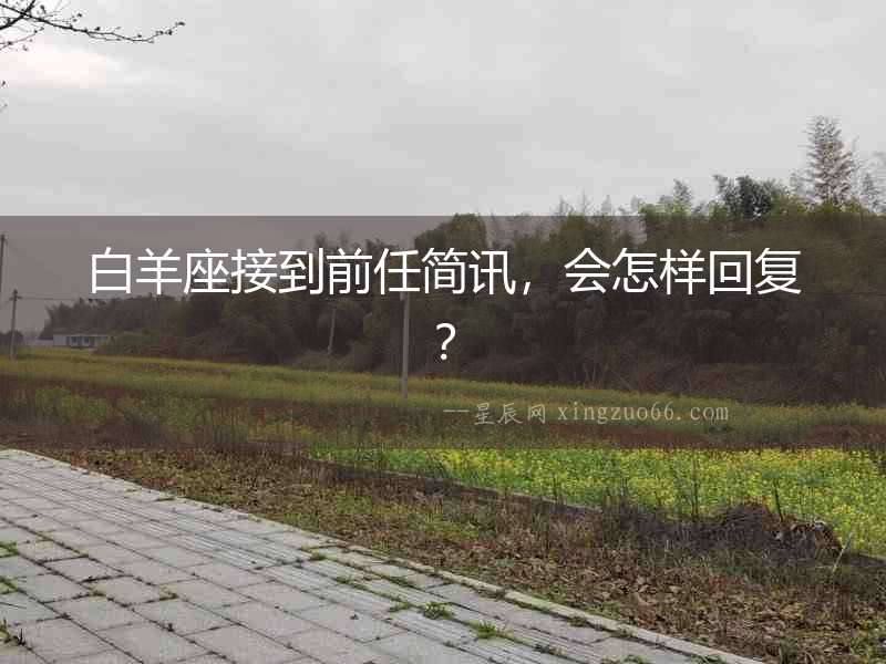 白羊座接到前任簡訊，會怎樣回復？