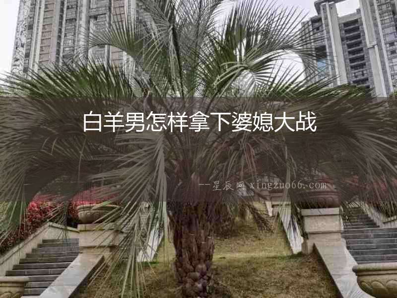 白羊男怎樣拿下婆媳大戰(zhàn)