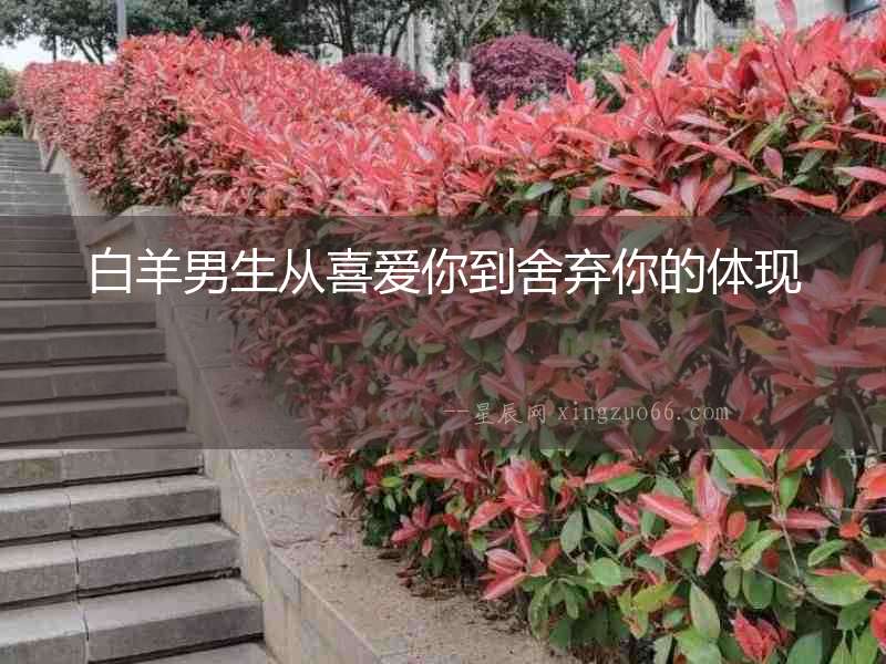 白羊男生從喜愛你到舍棄你的體現(xiàn)
